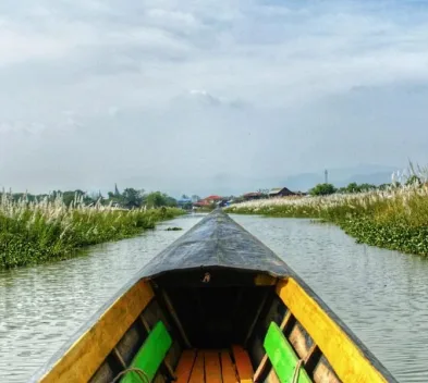 Shikara boat in Alleppey cruising to Pathiramanal Island across Kerala backwaters with scenic waterways, greenery, and birdlife.