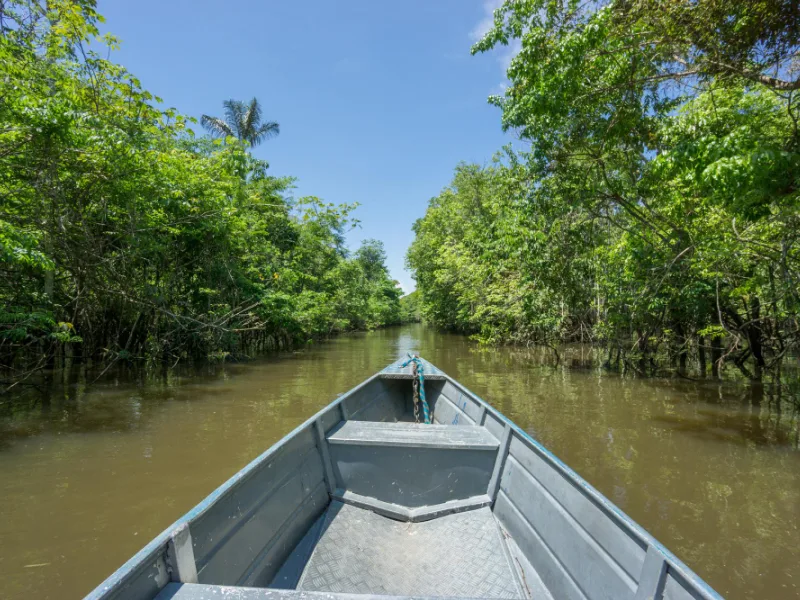 Shikara boat in Alleppey heading to Pathiramanal Island through Kerala backwaters surrounded by lush greenery and rich birdlife.