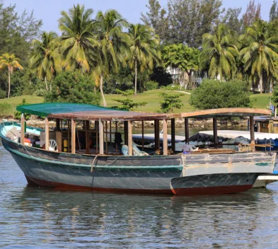 Shikara boat in Alleppey at sunrise gliding across Kerala backwaters with calm waters, misty views, and golden morning light.