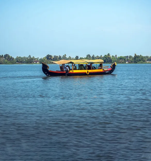Traditional shikara boat Alleppey during sunrise across Kerala's tranquil backwaters with glowing morning skies and scenic views.